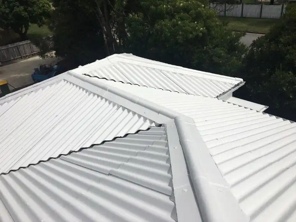 Roofguard Heat Reflect - roof painting